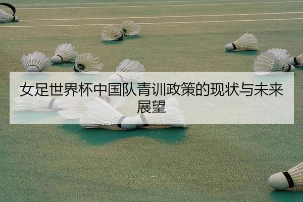 女足世界杯中国队青训政策的现状与未来展望